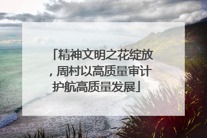 精神文明之花绽放，周村以高质量审计护航高质量发展