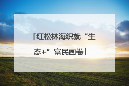 红松林海织就“生态+”富民画卷