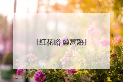 红花峪 桑葚熟