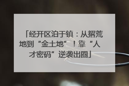 经开区泊于镇：从撂荒地到“金土地”！靠“人才密码”逆袭出圈