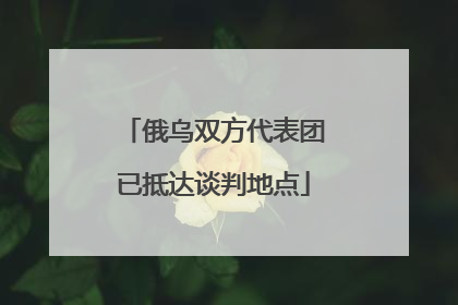俄乌双方代表团已抵达谈判地点