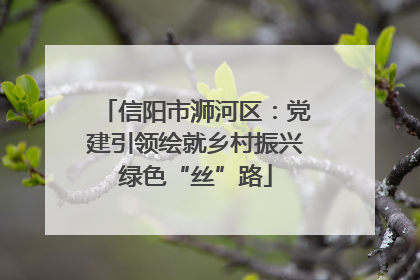 信阳市浉河区：党建引领绘就乡村振兴绿色“丝”路