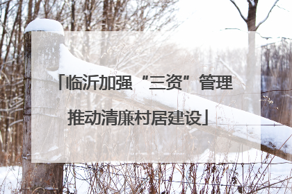 临沂加强“三资”管理 推动清廉村居建设