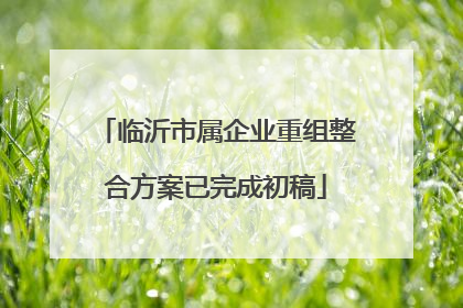 临沂市属企业重组整合方案已完成初稿