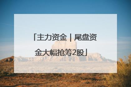 主力资金｜尾盘资金大幅抢筹2股