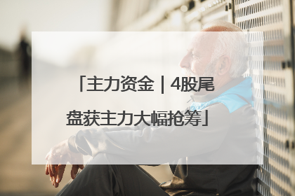 主力资金｜4股尾盘获主力大幅抢筹