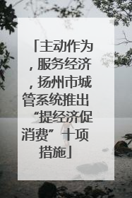 主动作为，服务经济，扬州市城管系统推出“提经济促消费”十项措施