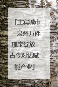 主宾城市｜泉州万件瑰宝绽放 古今对话赋能产业