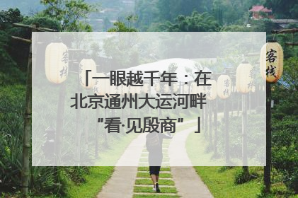 一眼越千年：在北京通州大运河畔“看·见殷商”