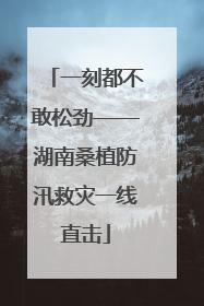 一刻都不敢松劲——湖南桑植防汛救灾一线直击