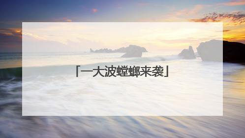 一大波螳螂来袭