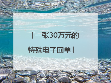 一张30万元的特殊电子回单