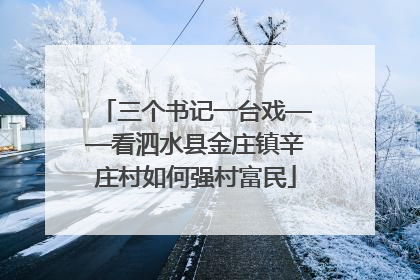 三个书记一台戏——看泗水县金庄镇辛庄村如何强村富民