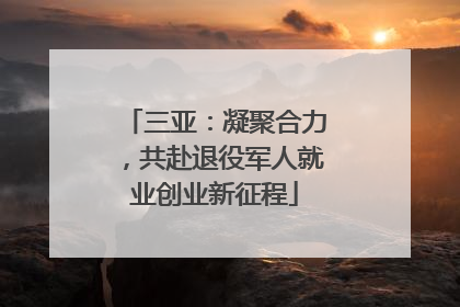 三亚：凝聚合力，共赴退役军人就业创业新征程