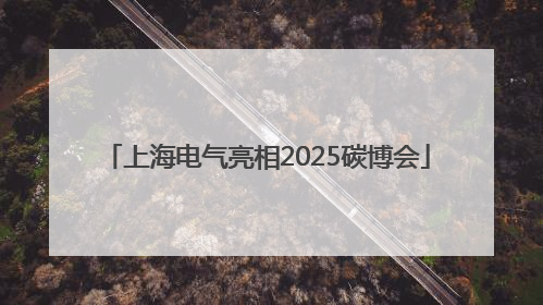 上海电气亮相2025碳博会