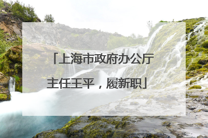 上海市政府办公厅主任王平，履新职