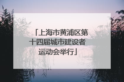 上海市黄浦区第十四届城市建设者运动会举行