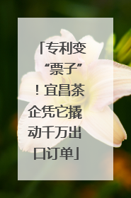 专利变“票子”！宜昌茶企凭它撬动千万出口订单