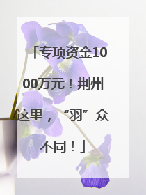 专项资金1000万元！荆州这里，“羽”众不同！