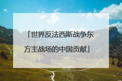 世界反法西斯战争东方主战场的中国贡献