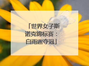 世界女子斯诺克锦标赛：白雨露夺冠