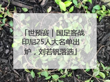 世预赛｜国足客战印尼25人大名单出炉，刘若钒落选