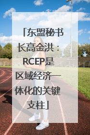 东盟秘书长高金洪：RCEP是区域经济一体化的关键支柱