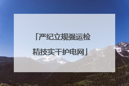 严纪立规强运检 精技实干护电网