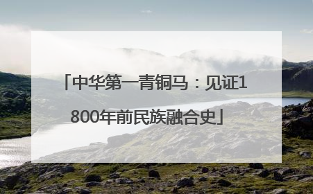 中华第一青铜马：见证1800年前民族融合史