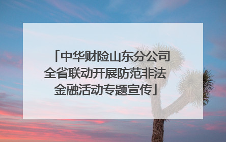 中华财险山东分公司全省联动开展防范非法金融活动专题宣传
