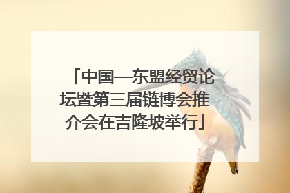 中国—东盟经贸论坛暨第三届链博会推介会在吉隆坡举行