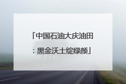 中国石油大庆油田：黑金沃土绽绿颜