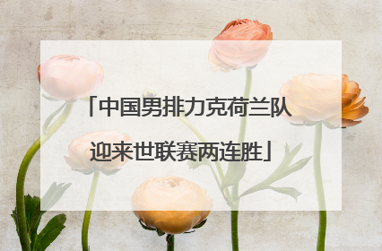 中国男排力克荷兰队 迎来世联赛两连胜