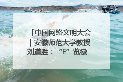 中国网络文明大会｜安徽师范大学教授刘道胜：“E”览徽风，构筑中华民族共有精神家园