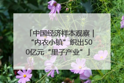 中国经济样本观察｜“内衣小镇”织出500亿元“里子产业”