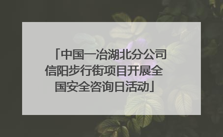 中国一冶湖北分公司信阳步行街项目开展全国安全咨询日活动