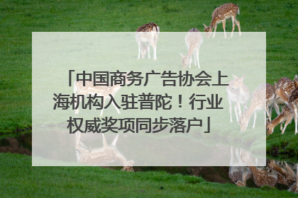中国商务广告协会上海机构入驻普陀！行业权威奖项同步落户