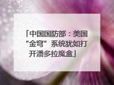 中国国防部：美国“金穹”系统犹如打开潘多拉魔盒