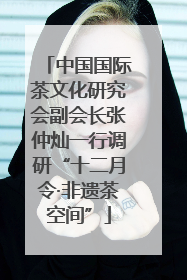 中国国际茶文化研究会副会长张仲灿一行调研“十二月令·非遗茶空间”