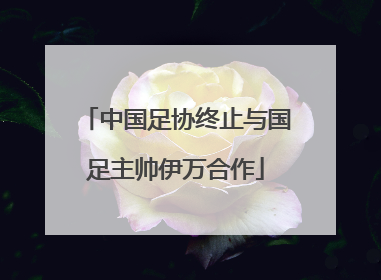 中国足协终止与国足主帅伊万合作
