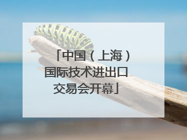 中国（上海）国际技术进出口交易会开幕