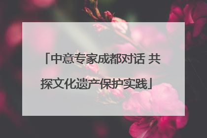 中意专家成都对话 共探文化遗产保护实践