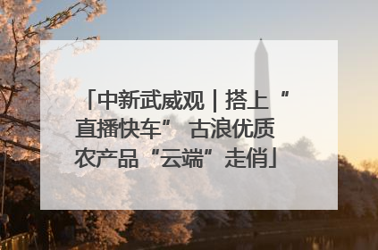 中新武威观｜搭上“直播快车” 古浪优质农产品“云端”走俏