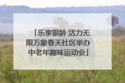 乐享银龄 活力无限万象春天社区举办中老年趣味运动会
