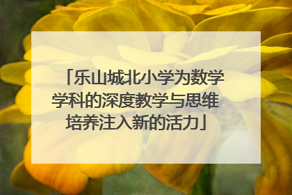 乐山城北小学为数学学科的深度教学与思维培养注入新的活力