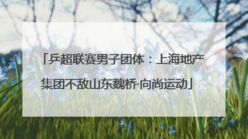 乒超联赛男子团体：上海地产集团不敌山东魏桥·向尚运动