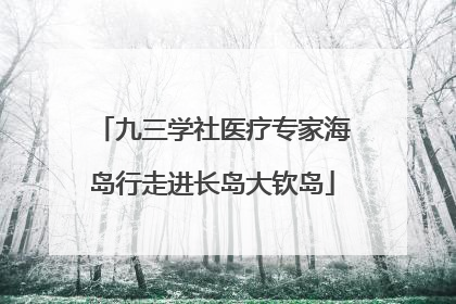 九三学社医疗专家海岛行走进长岛大钦岛