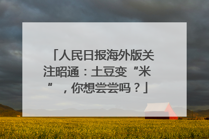 人民日报海外版关注昭通：土豆变“米”，你想尝尝吗？
