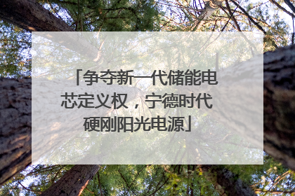 争夺新一代储能电芯定义权，宁德时代硬刚阳光电源