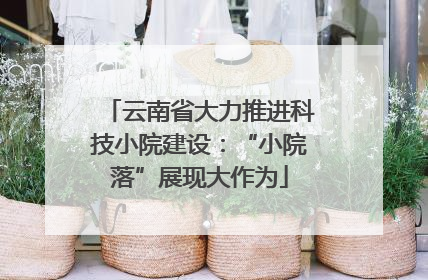 云南省大力推进科技小院建设：“小院落”展现大作为